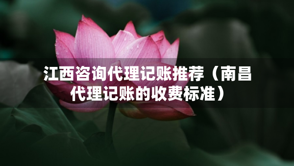 江西咨询代理记账推荐（南昌代理记账的收费标准）