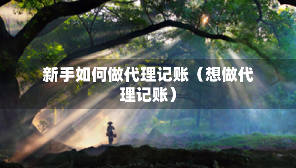 新手如何做代理记账（想做代理记账）