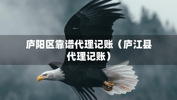 庐阳区靠谱代理记账（庐江县代理记账）