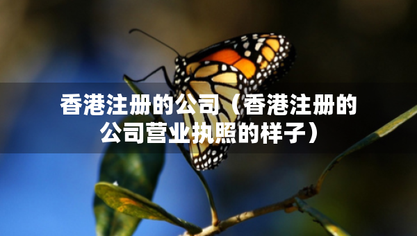香港注册的公司（香港注册的公司营业执照的样子）