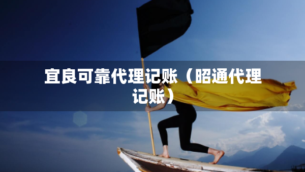 宜良可靠代理记账（昭通代理记账）