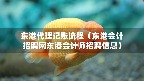 东港代理记账流程（东港会计招聘网东港会计师招聘信息）