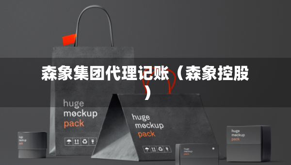 森象集团代理记账（森象控股）