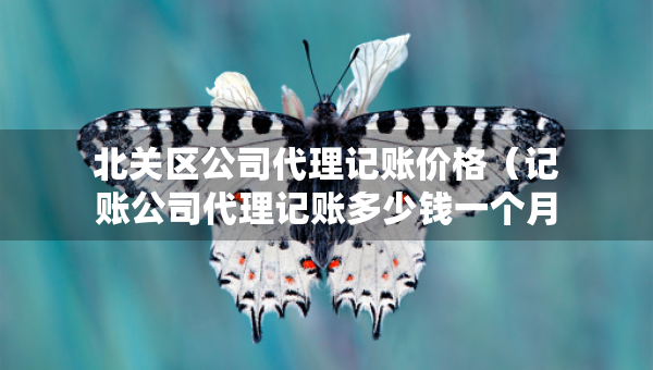 北关区公司代理记账价格（记账公司代理记账多少钱一个月）
