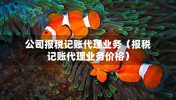 公司报税记账代理业务（报税记账代理业务价格）