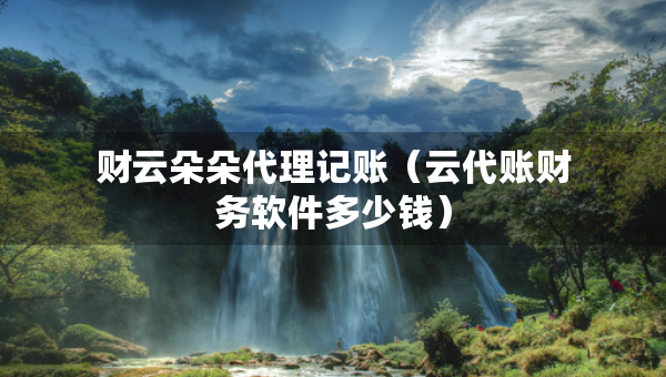 财云朵朵代理记账（云代账财务软件多少钱）
