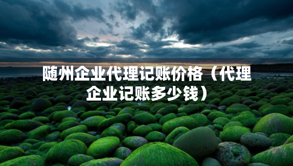 随州企业代理记账价格（代理企业记账多少钱）