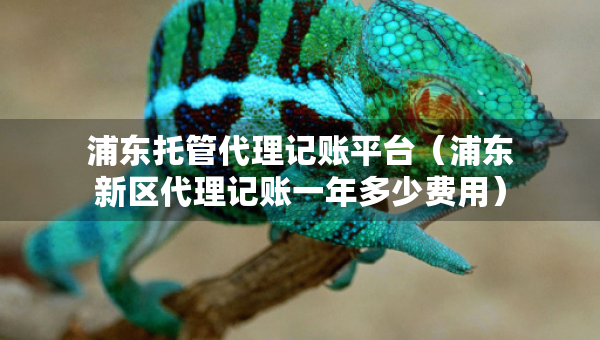 浦东托管代理记账平台（浦东新区代理记账一年多少费用）