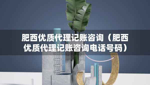肥西优质代理记账咨询（肥西优质代理记账咨询电话号码）