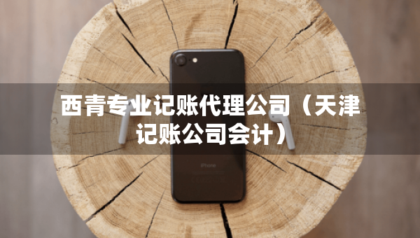 西青专业记账代理公司（天津记账公司会计）