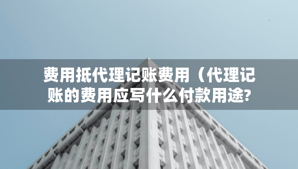 费用抵代理记账费用（代理记账的费用应写什么付款用途?）