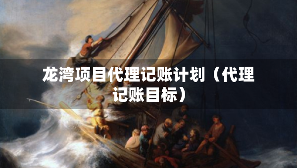 龙湾项目代理记账计划（代理记账目标）