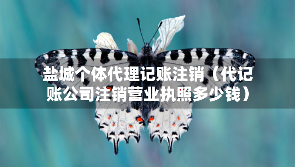 盐城个体代理记账注销（代记账公司注销营业执照多少钱）