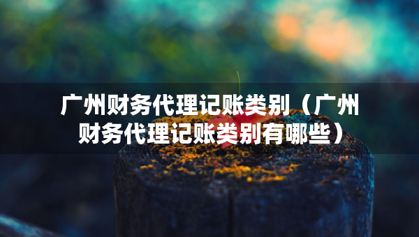 广州财务代理记账类别(广州财务代理记账类别有哪些) 广州财务代理记账类别(广州财务代理记账类别有哪些)