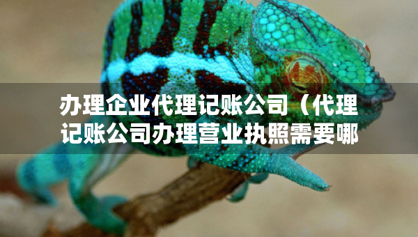 办理企业代理记账公司（代理记账公司办理营业执照需要哪些资料）