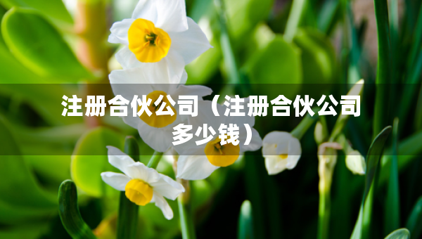 注册合伙公司（注册合伙公司多少钱）
