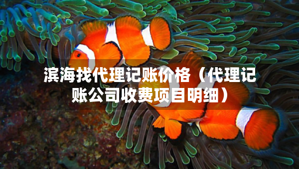 滨海找代理记账价格（代理记账公司收费项目明细）