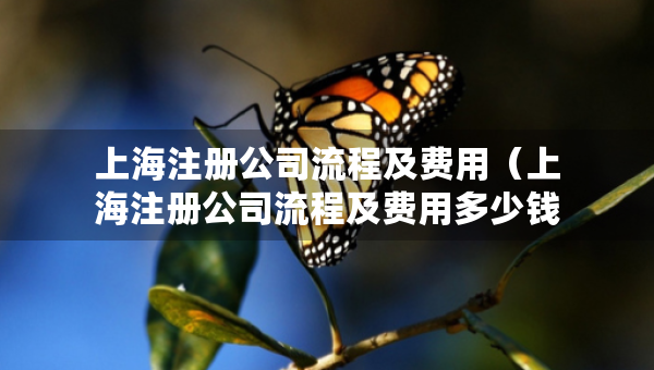 上海注册公司流程及费用（上海注册公司流程及费用多少钱）