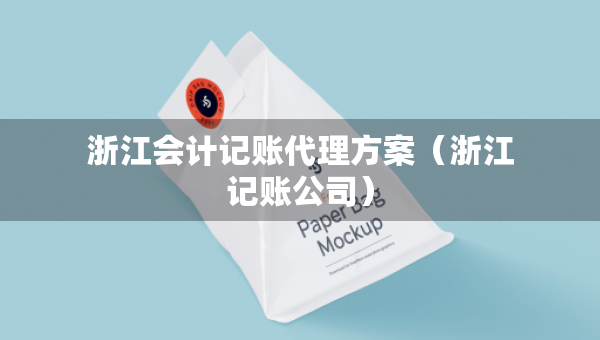 浙江会计记账代理方案（浙江记账公司）