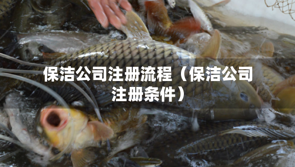 保洁公司注册流程（保洁公司注册条件）