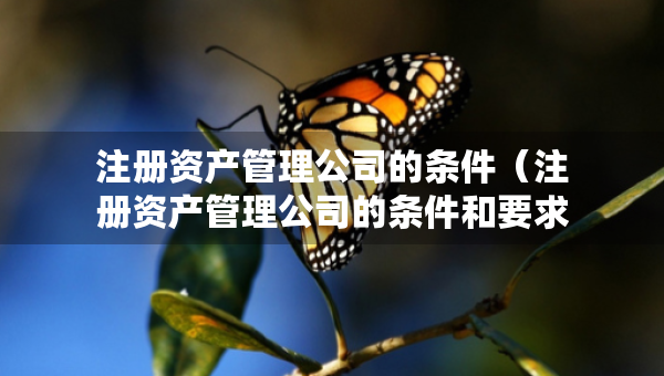 注册资产管理公司的条件（注册资产管理公司的条件和要求）