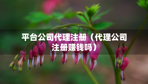 平台公司代理注册（代理公司注册赚钱吗）