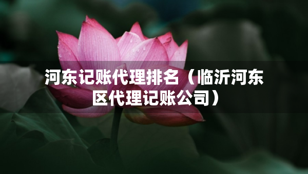 河东记账代理排名（临沂河东区代理记账公司）