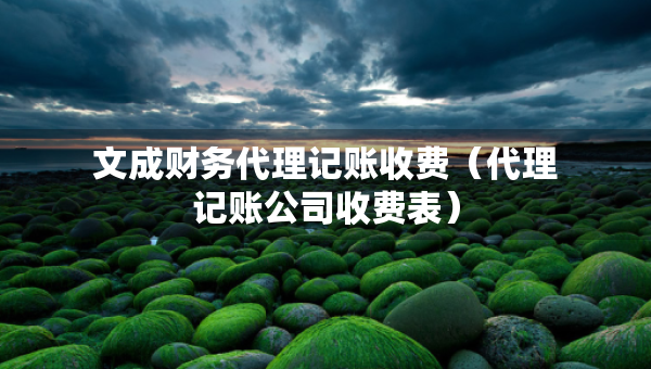 文成财务代理记账收费（代理记账公司收费表）