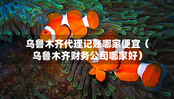 乌鲁木齐代理记账哪家便宜（乌鲁木齐财务公司哪家好）