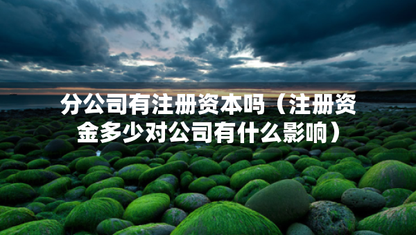 分公司有注册资本吗（注册资金多少对公司有什么影响）