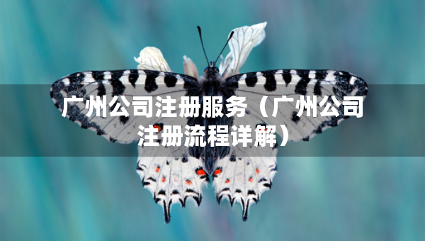 广州公司注册服务（广州公司注册流程详解）