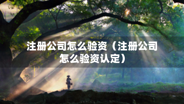注册公司怎么验资（注册公司怎么验资认定）