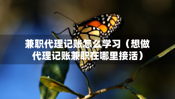 兼职代理记账怎么学习（想做代理记账兼职在哪里接活）
