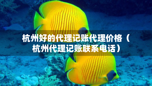 杭州好的代理记账代理价格（杭州代理记账联系电话）