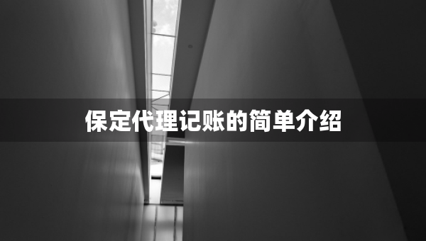 保定代理记账的简单介绍