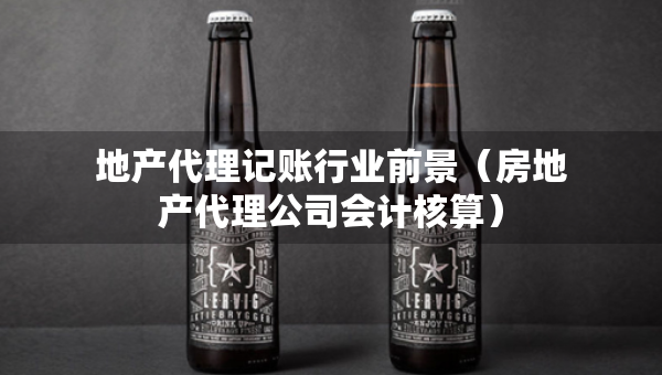 地产代理记账行业前景（房地产代理公司会计核算）