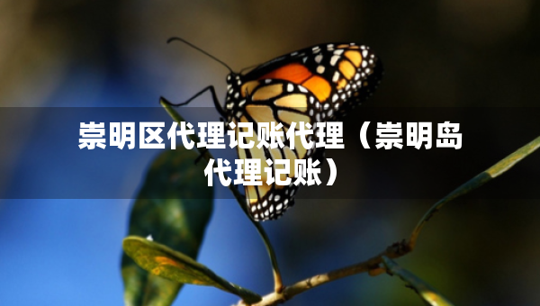 崇明区代理记账代理(崇明岛代理记账) 崇明区代理记账代理(崇明岛代理记账)