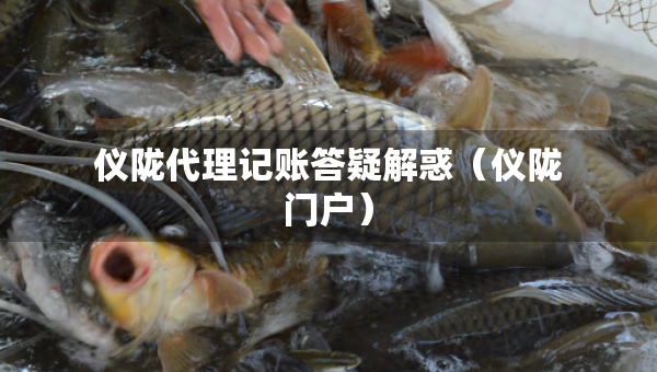 仪陇代理记账答疑解惑（仪陇门户）