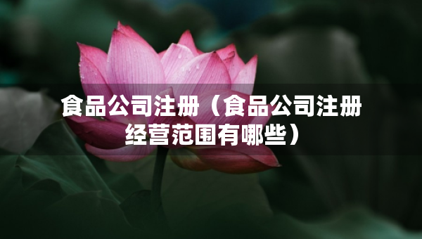食品公司注册（食品公司注册经营范围有哪些）