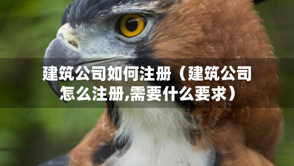 建筑公司如何注册（建筑公司怎么注册,需要什么要求）