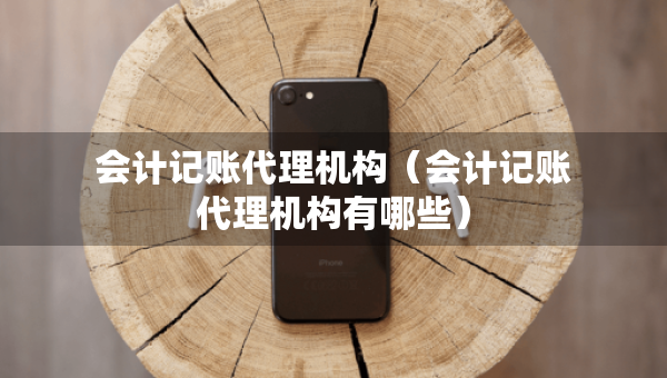 会计记账代理机构（会计记账代理机构有哪些）