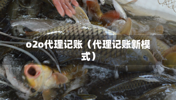 o2o代理记账（代理记账新模式）