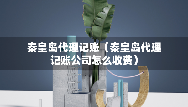 秦皇岛代理记账（秦皇岛代理记账公司怎么收费）