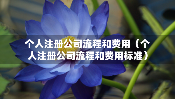 个人注册公司流程和费用（个人注册公司流程和费用标准）