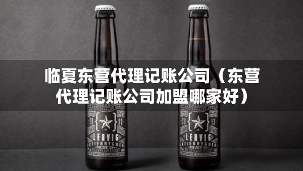 临夏东营代理记账公司（东营代理记账公司加盟哪家好）