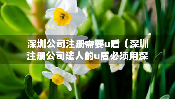 深圳公司注册需要u盾（深圳注册公司法人的u盾必须用深证的吗）