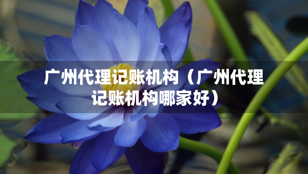 广州代理记账机构（广州代理记账机构哪家好）