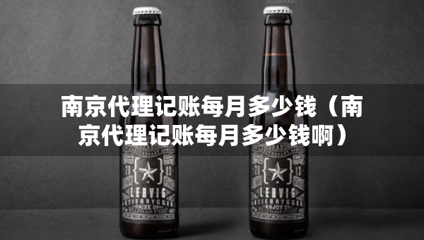 南京代理记账每月多少钱（南京代理记账每月多少钱啊）