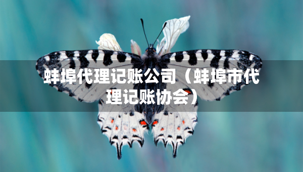 蚌埠代理记账公司（蚌埠市代理记账协会）