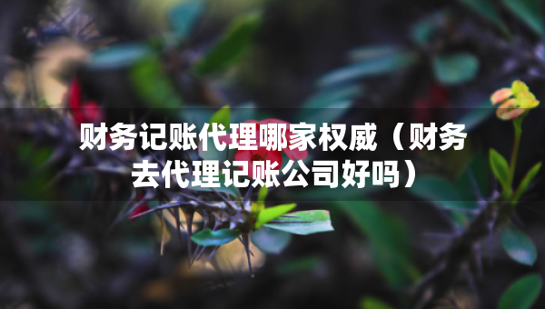 财务记账代理哪家权威（财务去代理记账公司好吗）